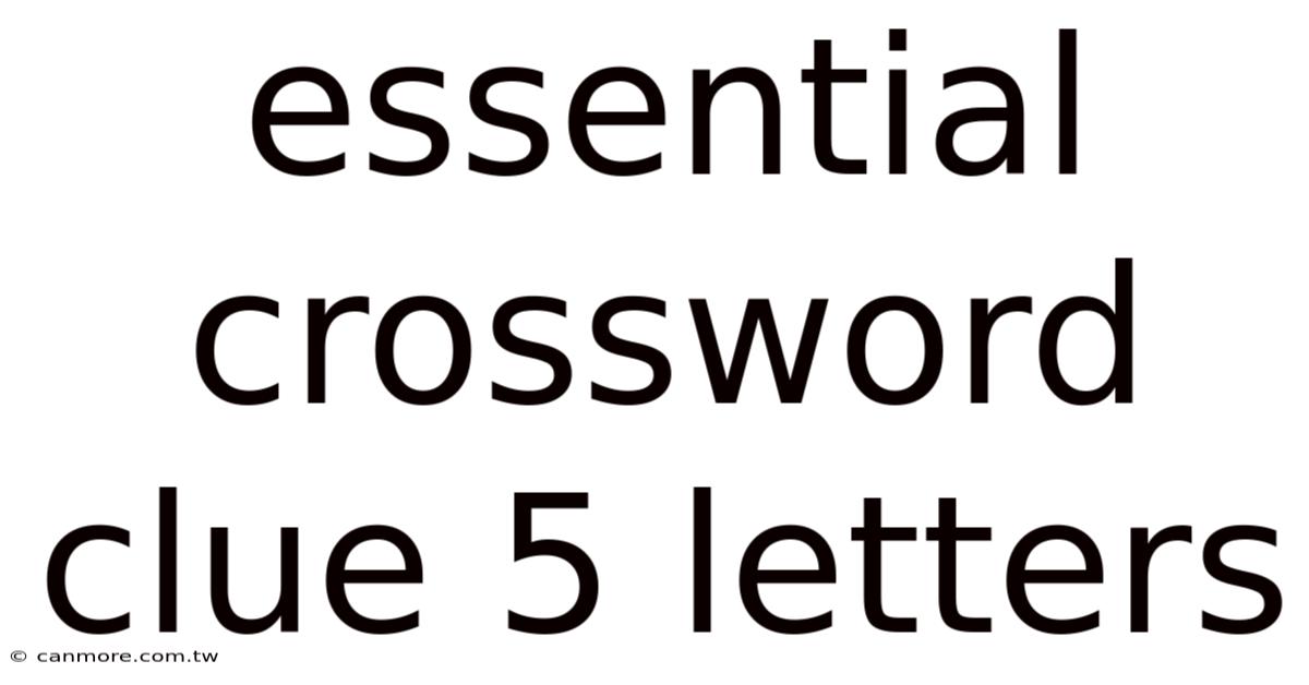 Essential Crossword Clue 5 Letters