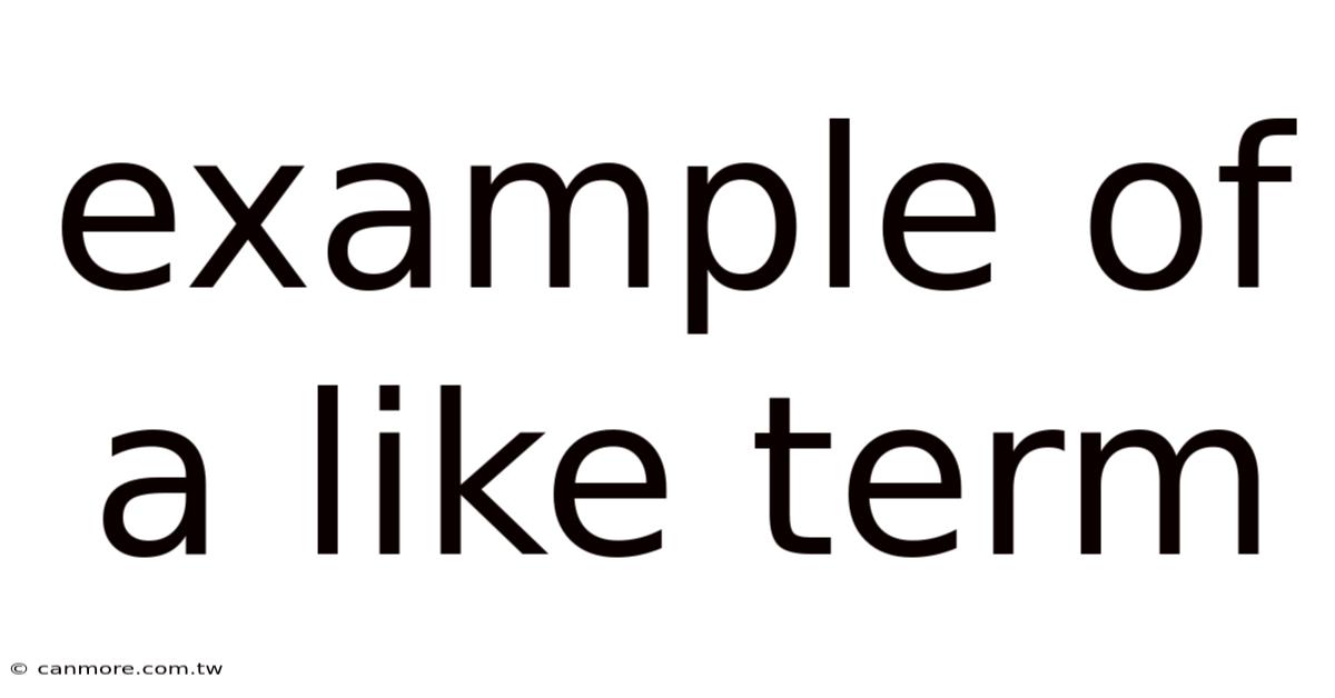 Example Of A Like Term