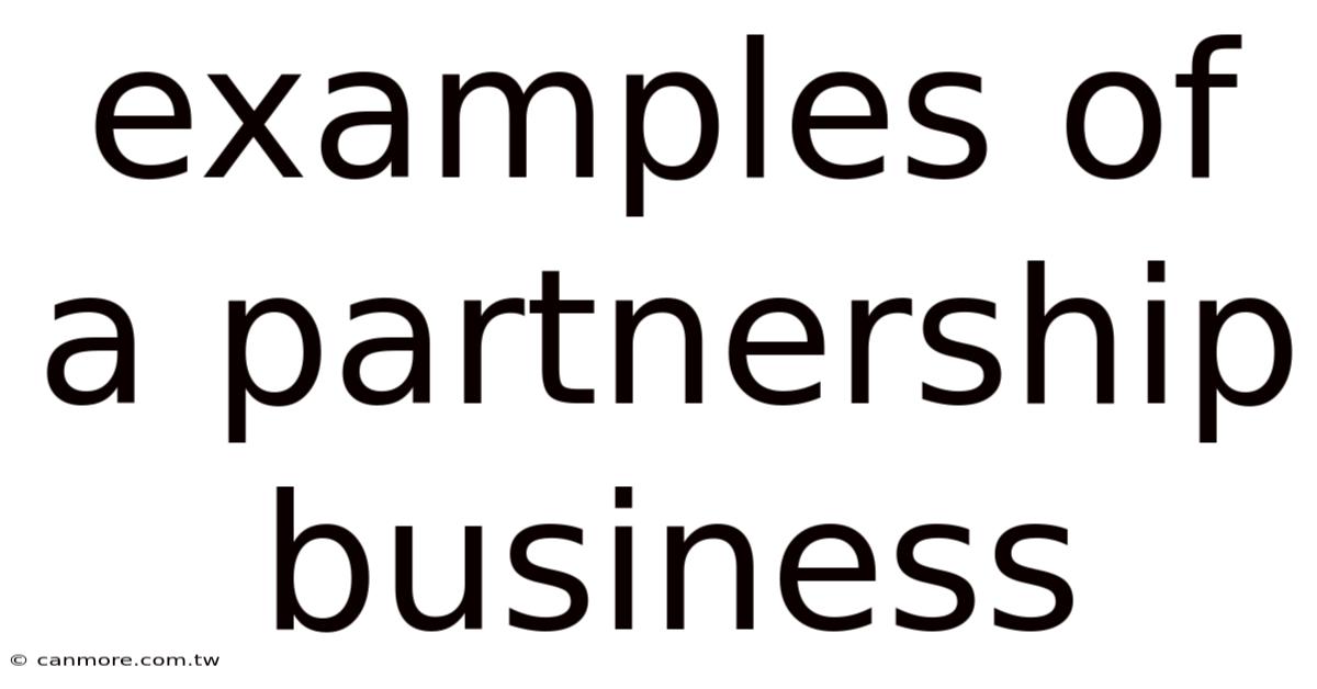 Examples Of A Partnership Business