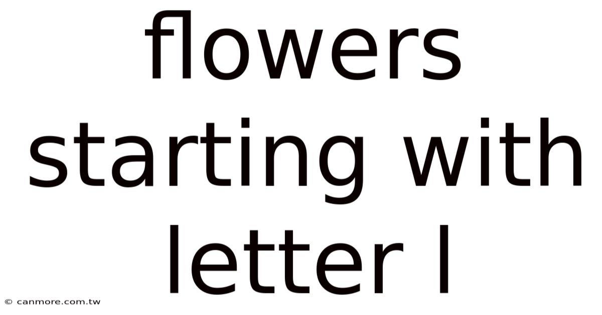 Flowers Starting With Letter L