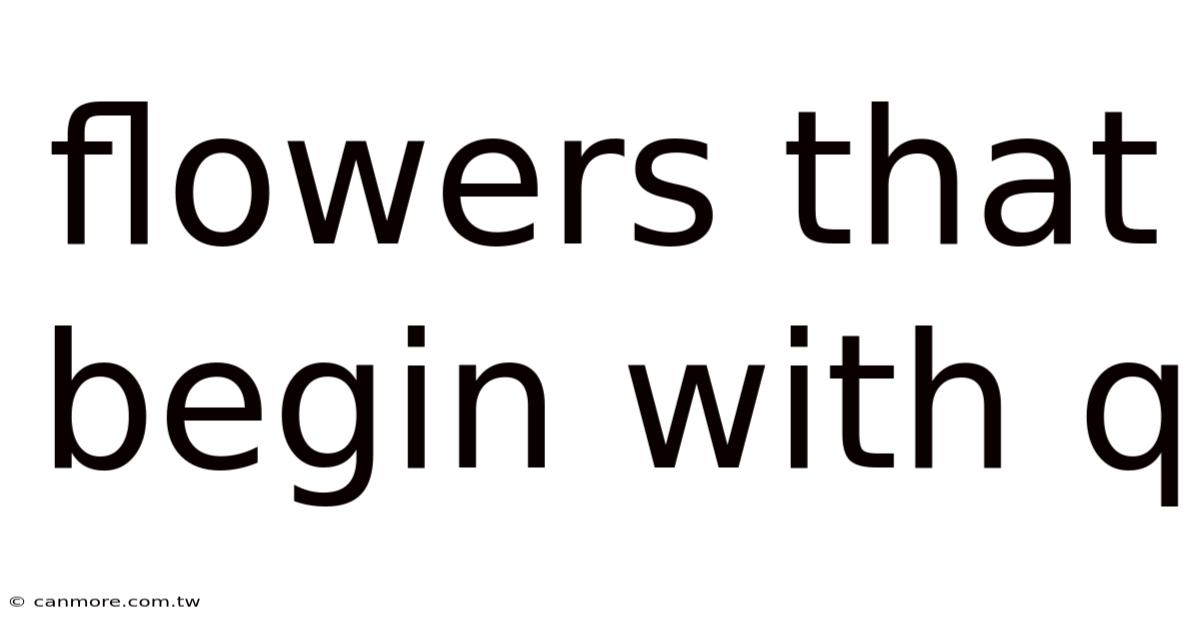 Flowers That Begin With Q