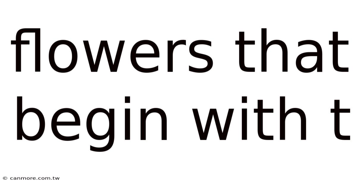 Flowers That Begin With T