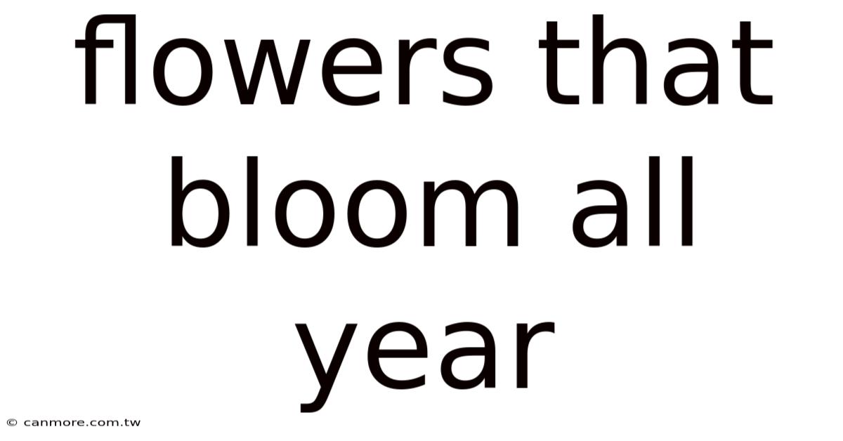 Flowers That Bloom All Year