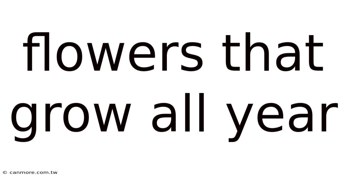 Flowers That Grow All Year