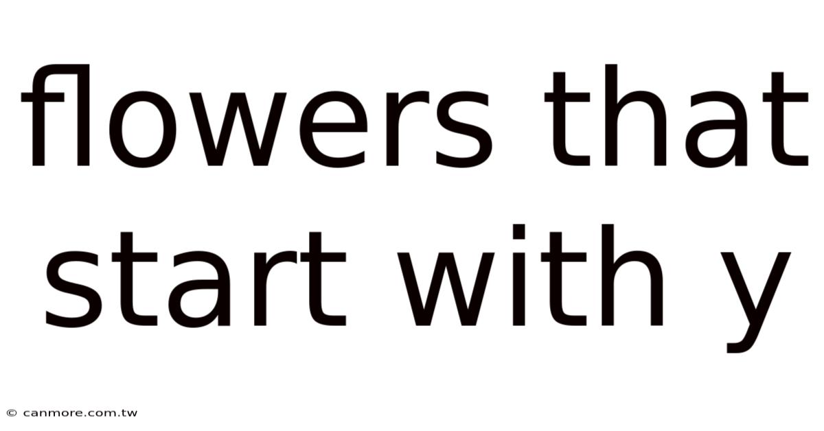 Flowers That Start With Y