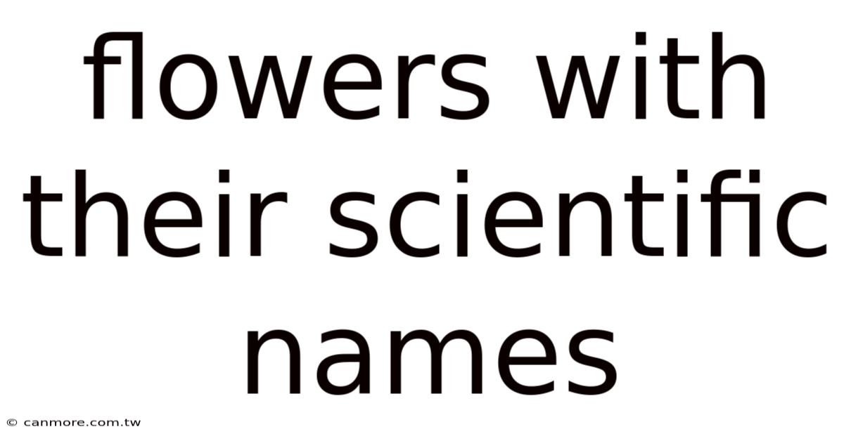 Flowers With Their Scientific Names