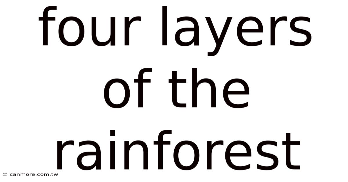 Four Layers Of The Rainforest