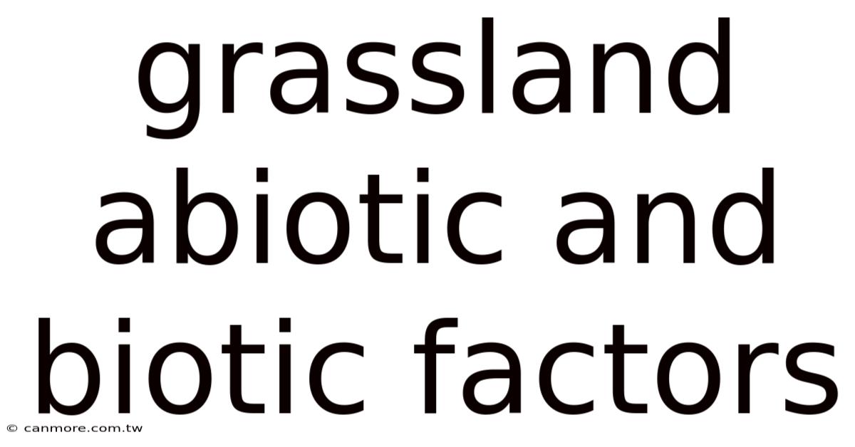 Grassland Abiotic And Biotic Factors