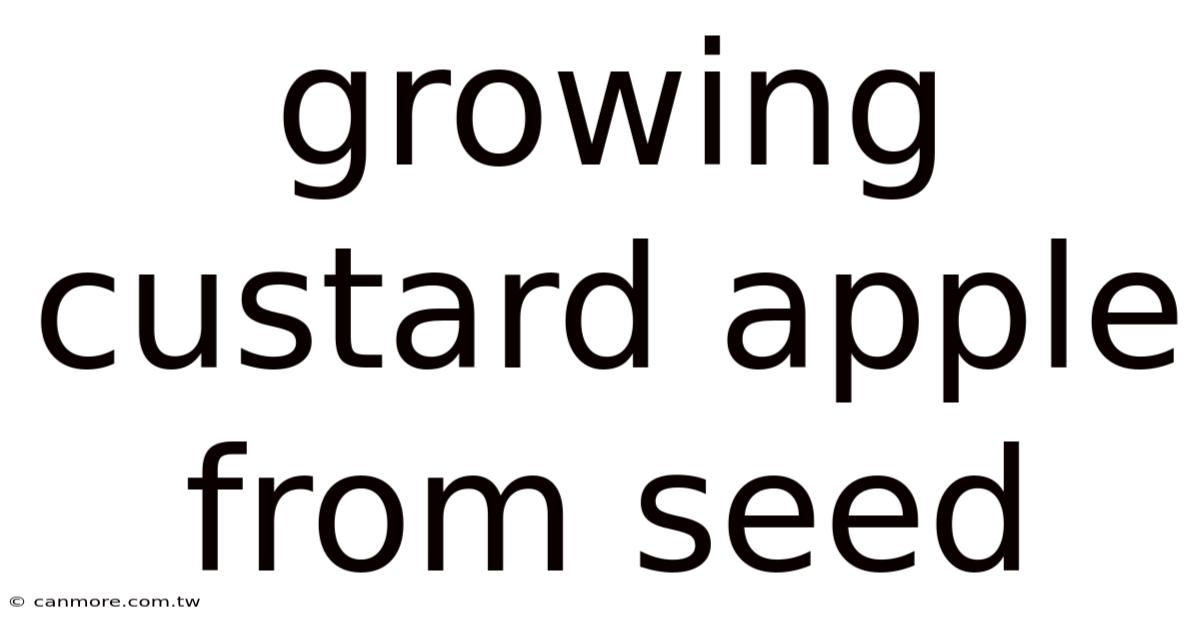 Growing Custard Apple From Seed