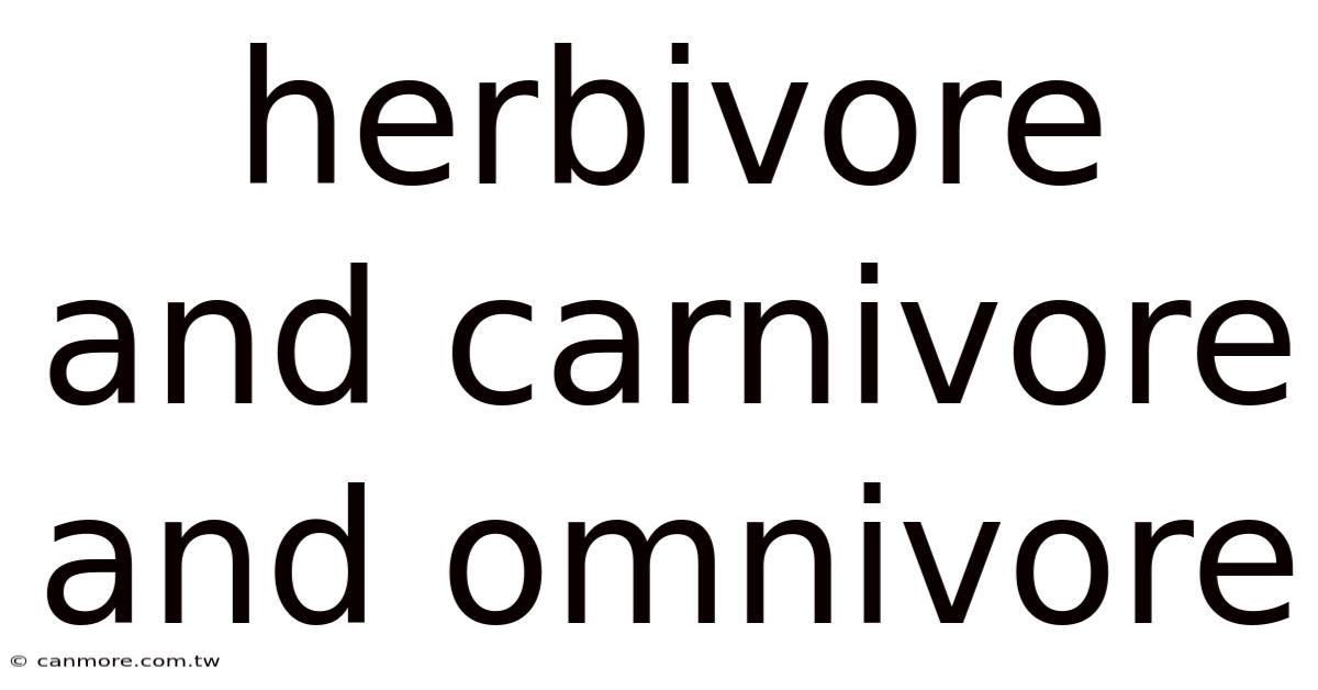 Herbivore And Carnivore And Omnivore