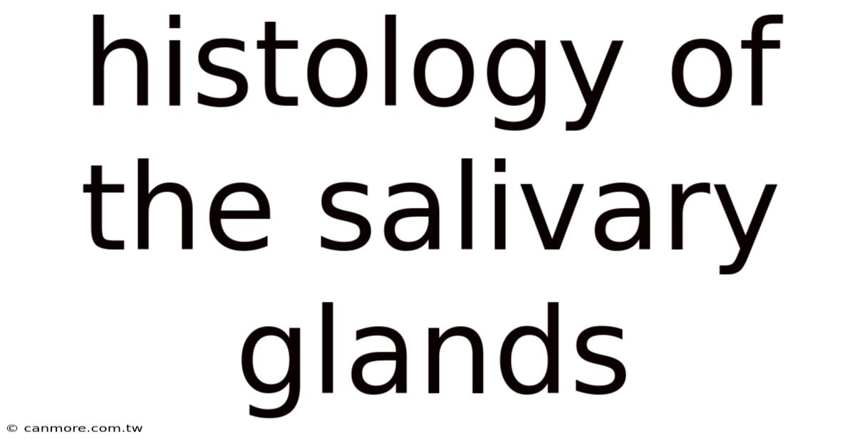 Histology Of The Salivary Glands