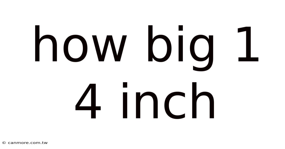 How Big 1 4 Inch