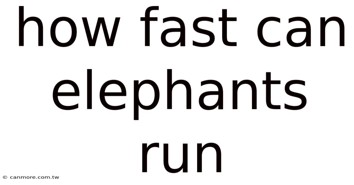 How Fast Can Elephants Run