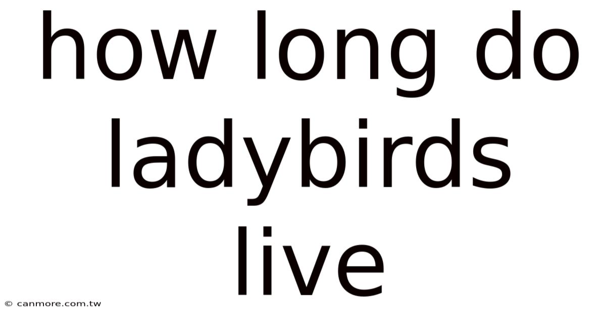 How Long Do Ladybirds Live