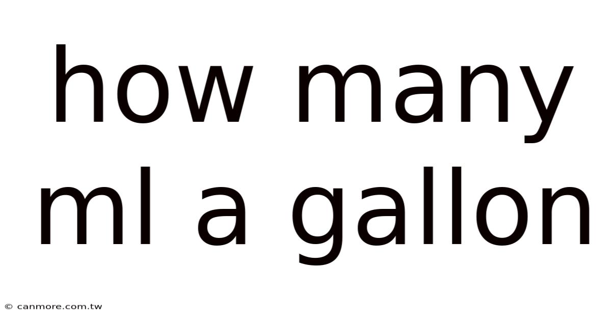 How Many Ml A Gallon