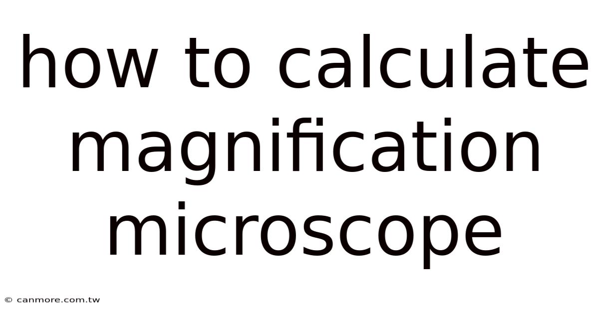 How To Calculate Magnification Microscope