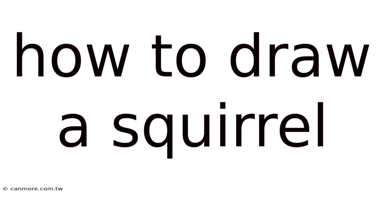 How To Draw A Squirrel