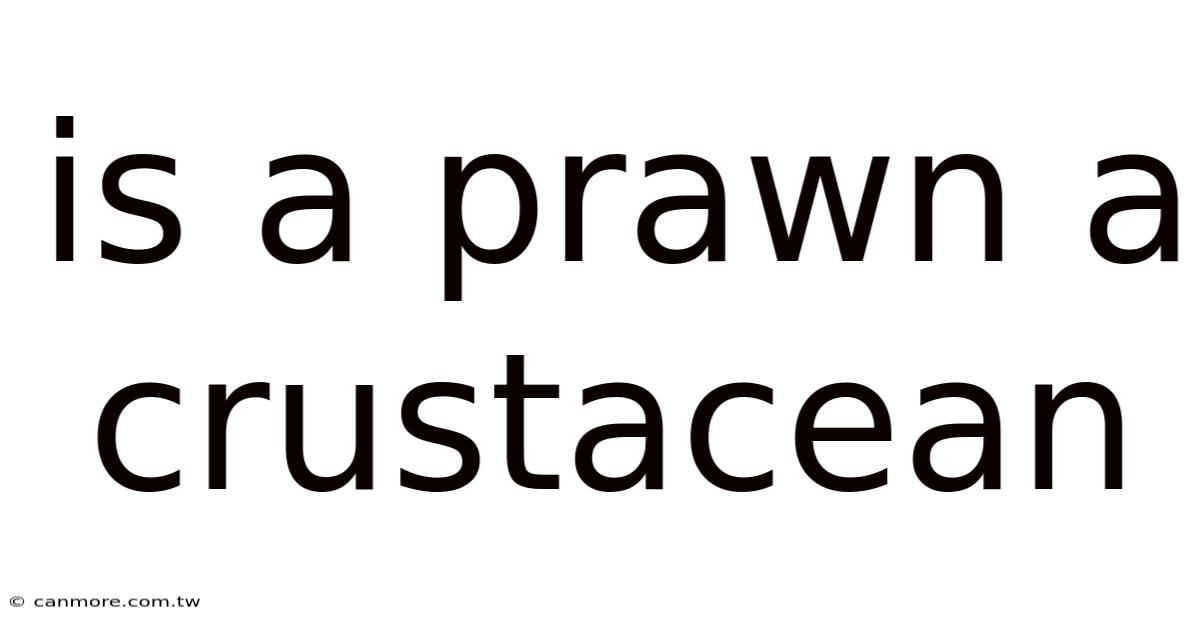 Is A Prawn A Crustacean