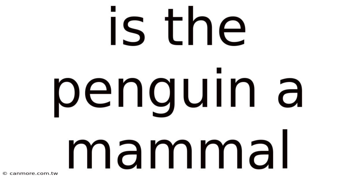 Is The Penguin A Mammal