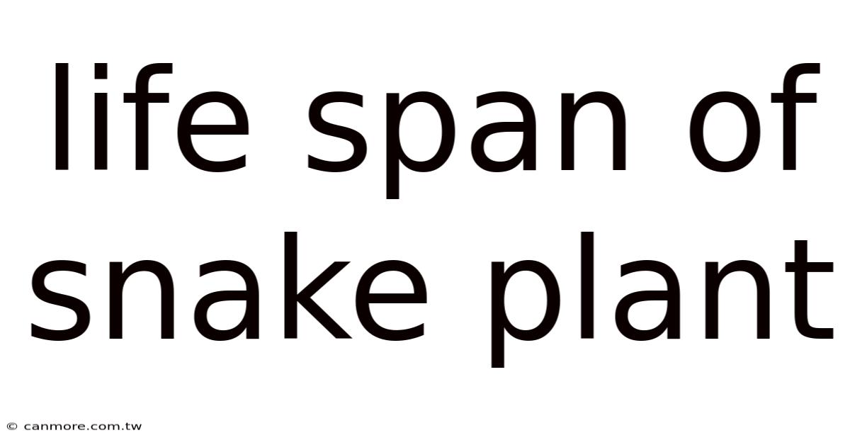 Life Span Of Snake Plant