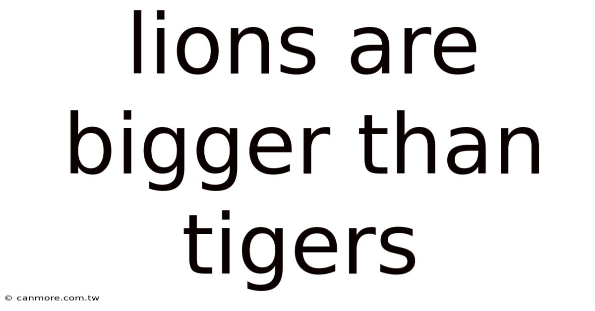 Lions Are Bigger Than Tigers