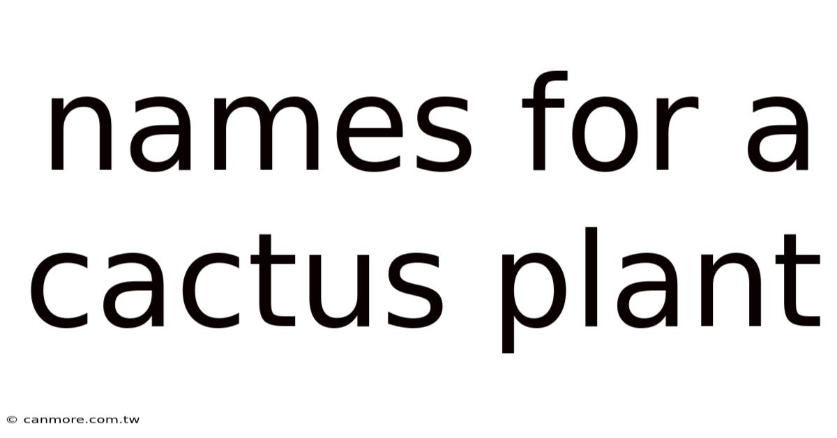 Names For A Cactus Plant