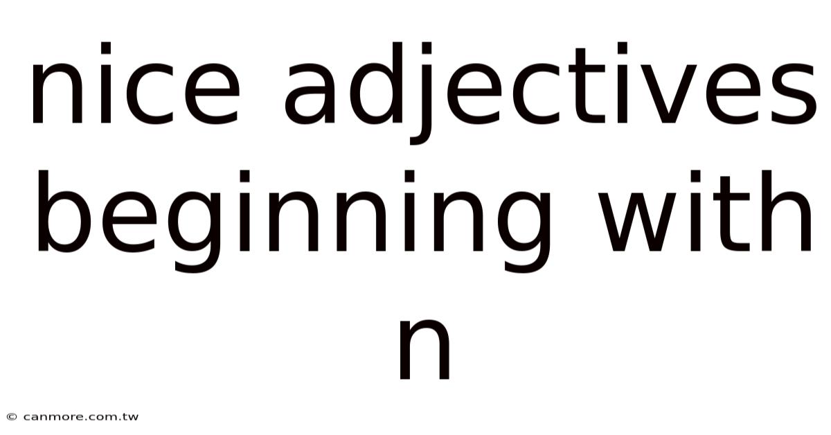 Nice Adjectives Beginning With N