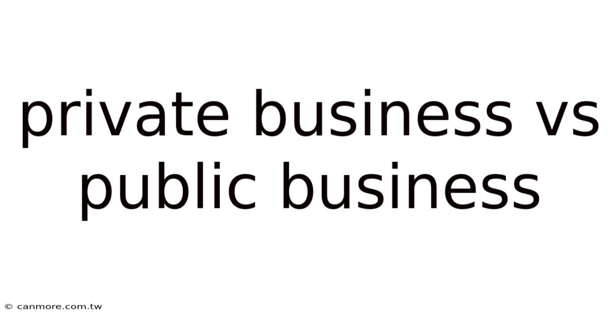Private Business Vs Public Business