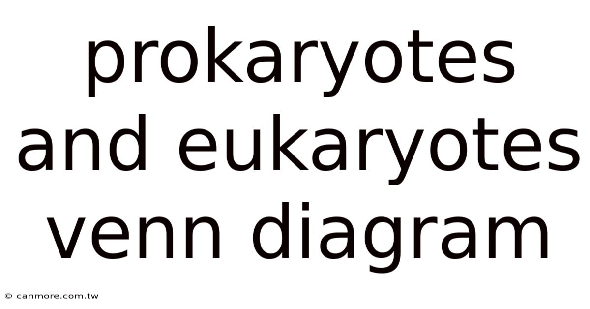 Prokaryotes And Eukaryotes Venn Diagram