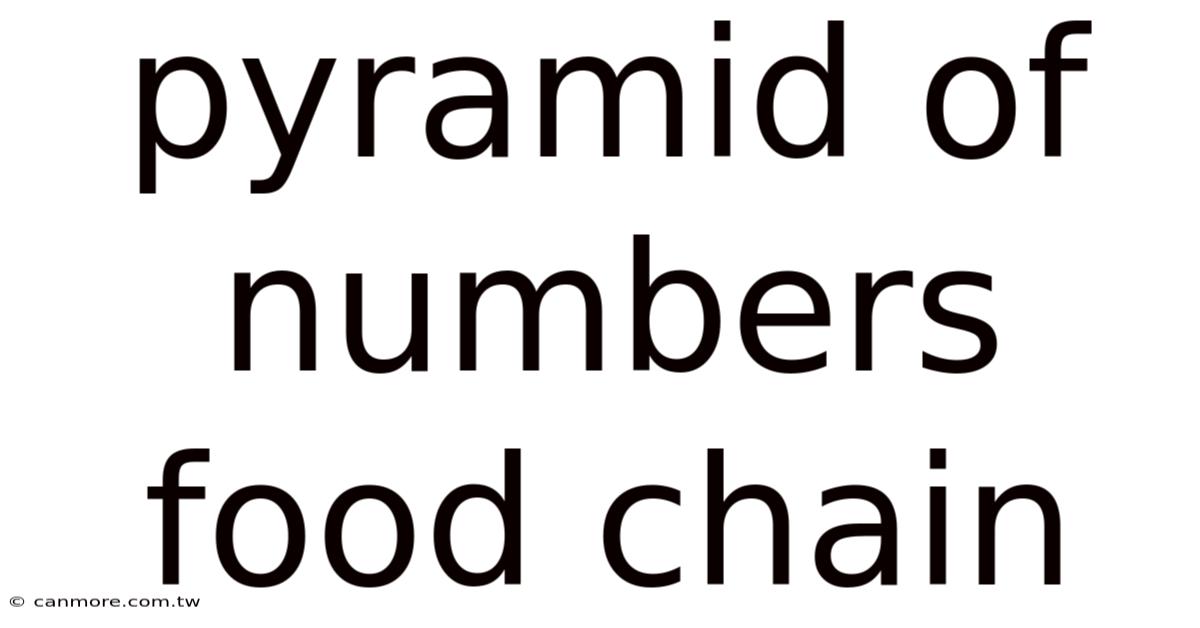 Pyramid Of Numbers Food Chain