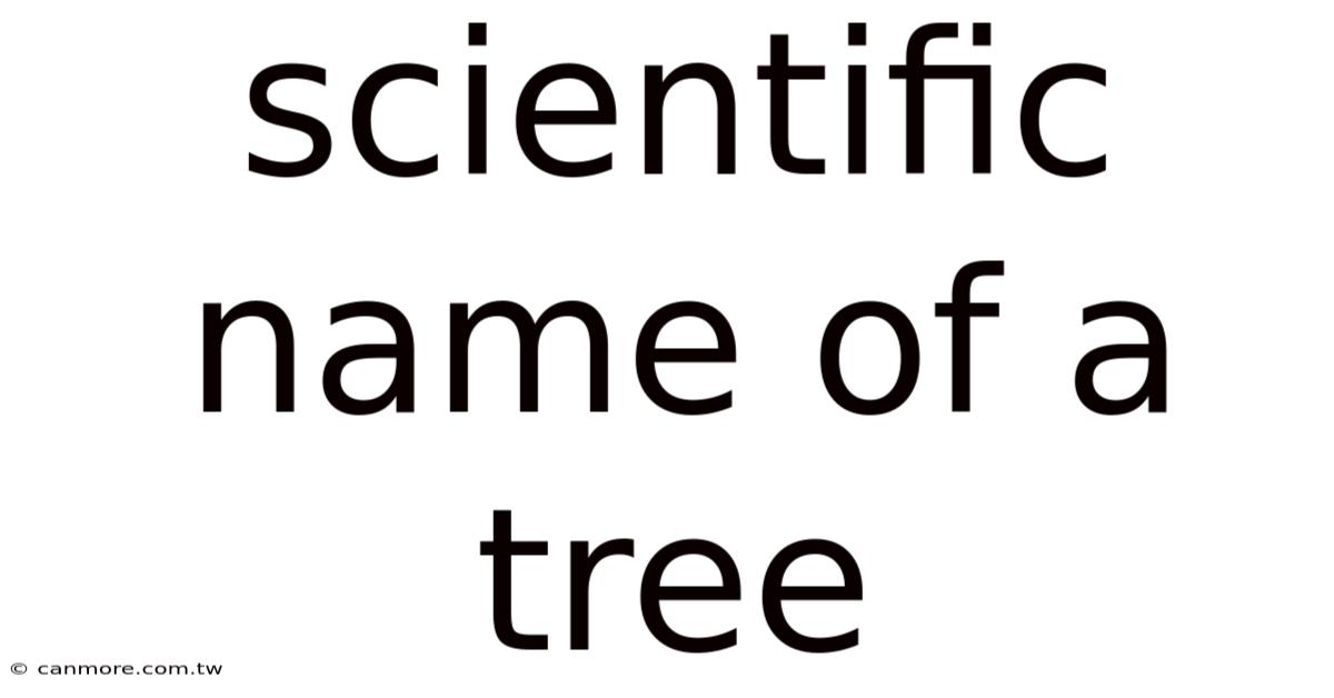Scientific Name Of A Tree