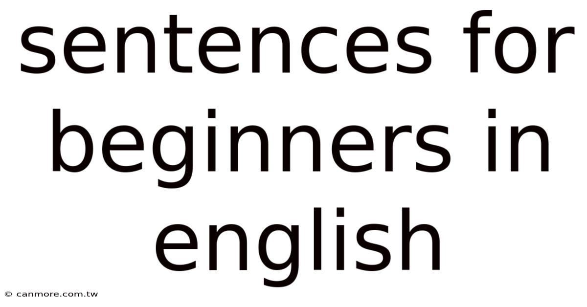 Sentences For Beginners In English