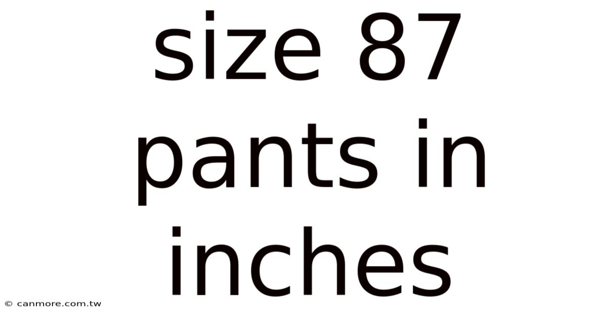 Size 87 Pants In Inches