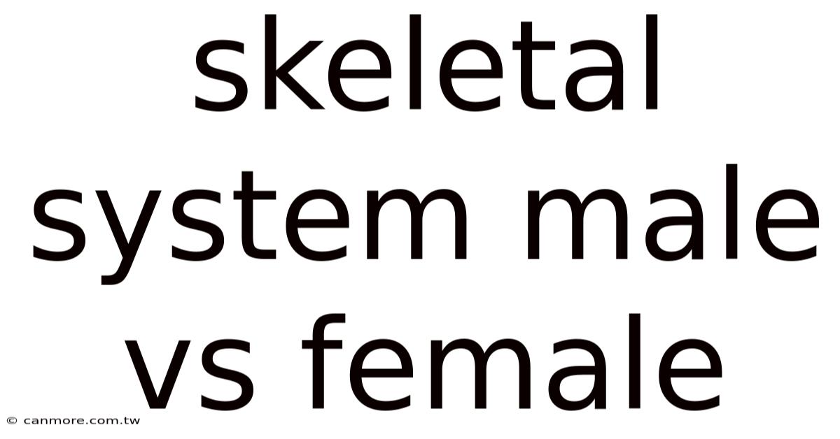 Skeletal System Male Vs Female