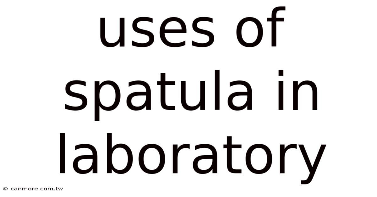 Uses Of Spatula In Laboratory