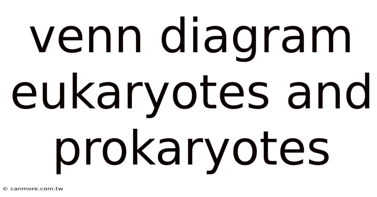 Venn Diagram Eukaryotes And Prokaryotes