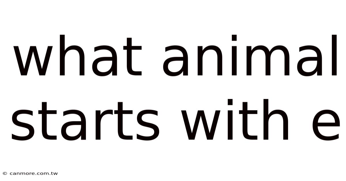 What Animal Starts With E