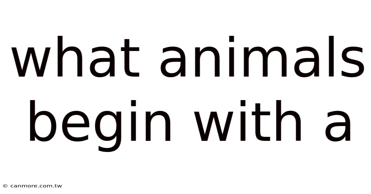 What Animals Begin With A