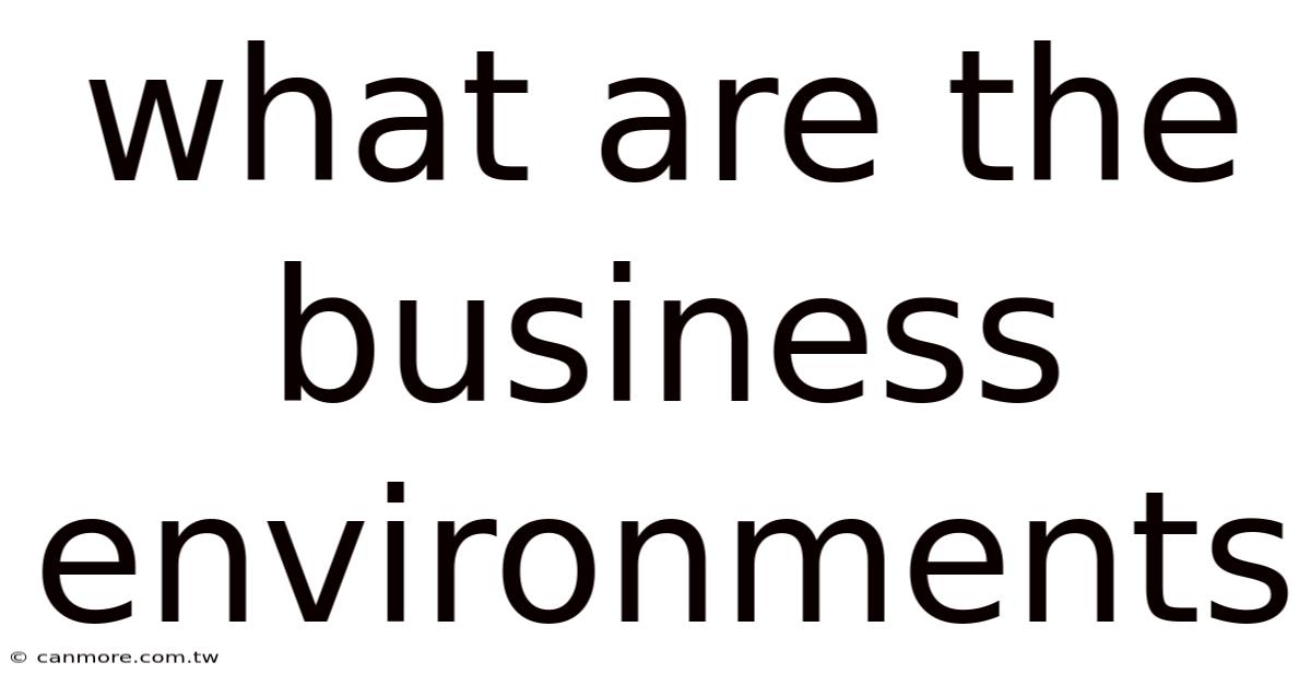 What Are The Business Environments