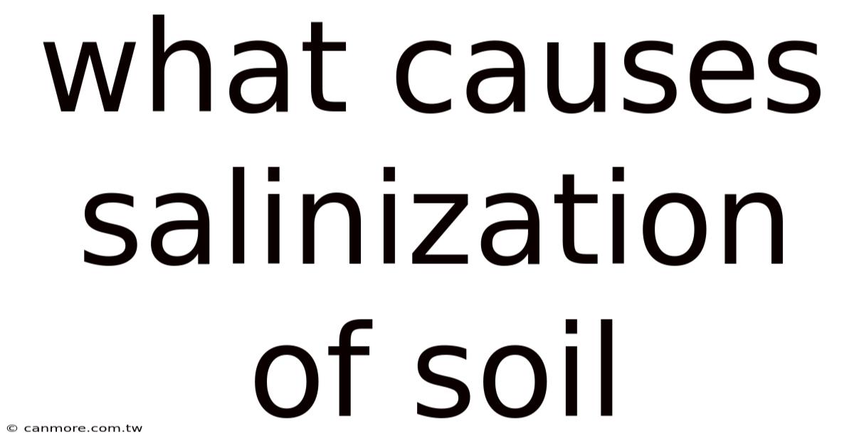 What Causes Salinization Of Soil