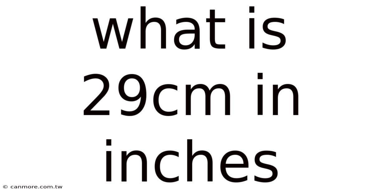 What Is 29cm In Inches