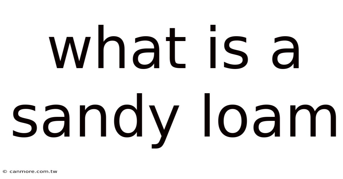 What Is A Sandy Loam