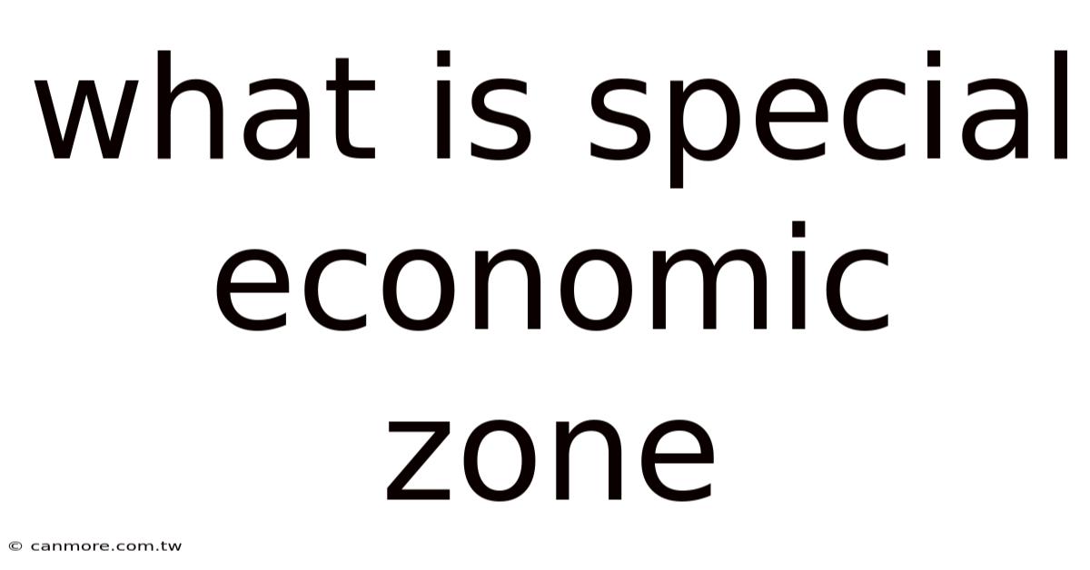 What Is Special Economic Zone