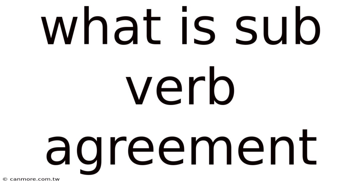 What Is Sub Verb Agreement