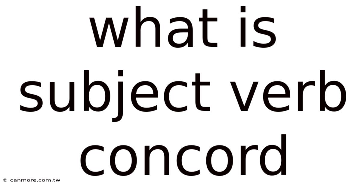 What Is Subject Verb Concord