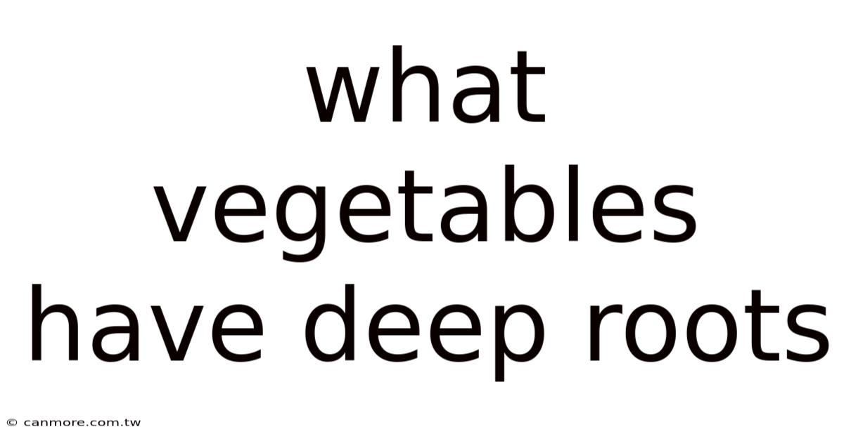 What Vegetables Have Deep Roots