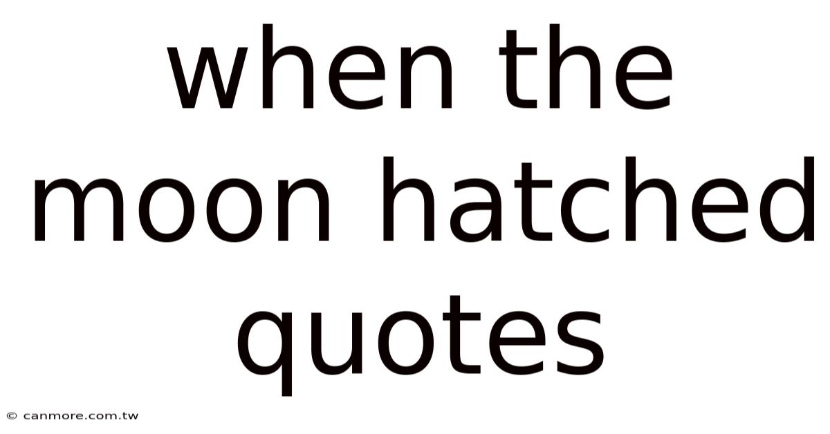 When The Moon Hatched Quotes