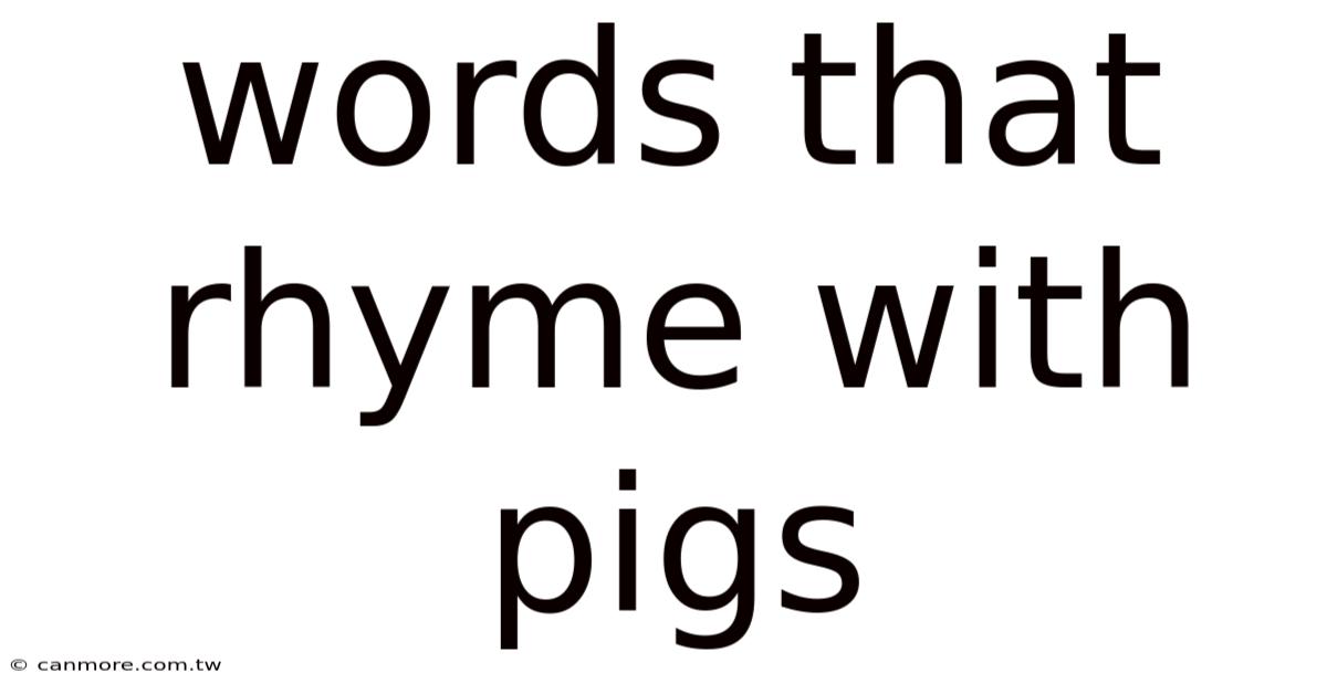 Words That Rhyme With Pigs